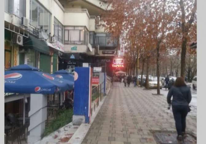 Ambient biznesi me qera 3+1 ne Tirane - 1,000 Euro