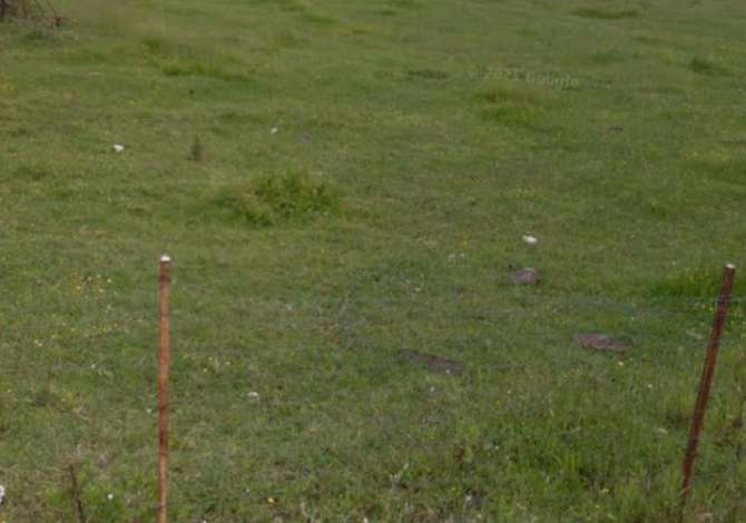 Truall ose Toke ne Tirane - 187,500 Euro