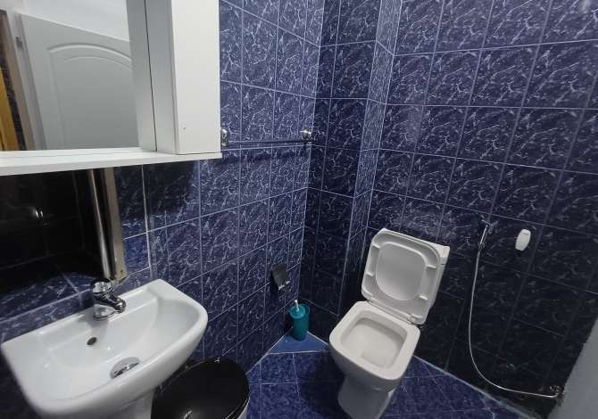 Ambient biznesi me qera 3+1 ne Tirane - 600 Euro