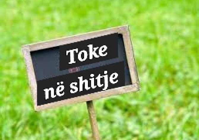 Truall ose Toke ne Tirane - 500,000 Euro