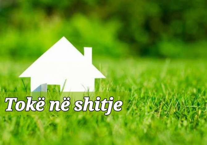 Truall ose Toke ne Tirane - 112,500 Euro