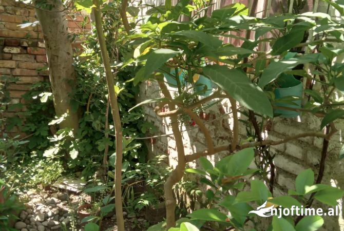 Shtepi ne shitje Shtepi Private ne Durres, 1+1, Mobilimi E mobiluar, Pagesa 135,000  Euro.