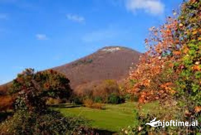 Ambient biznesi ne shitje 1+1 ne Tirane - 114,580 Euro