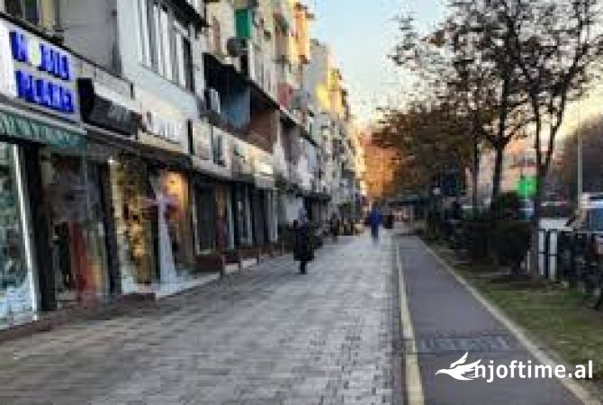 Ambient biznesi me qera 3+1 ne Tirane - 450 Euro