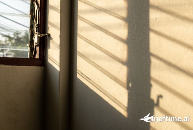 Ambient biznesi ne shitje 1+1 ne Tirane - 159,000 Euro