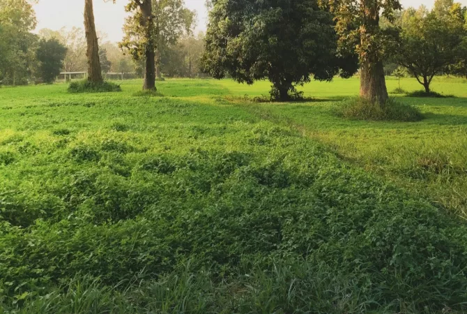Terreno in vendita  a Tirana - 460,000 Euro
