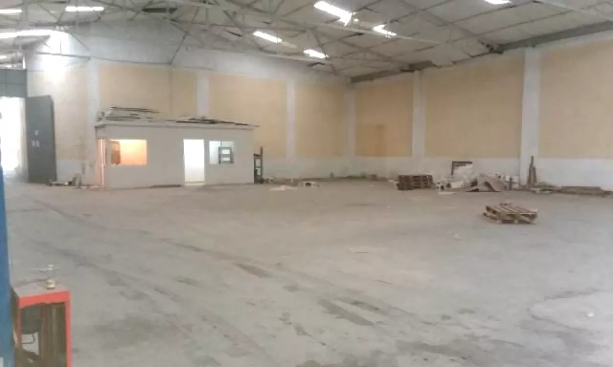 Foto 1