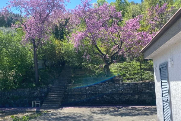 Shtepi ne shitje 3+1 ne Tirane - 396,000 Euro