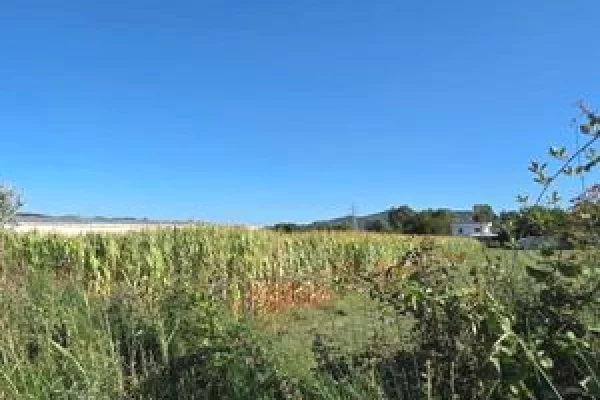 Land for Sale in Tirana - 712,000 Euro