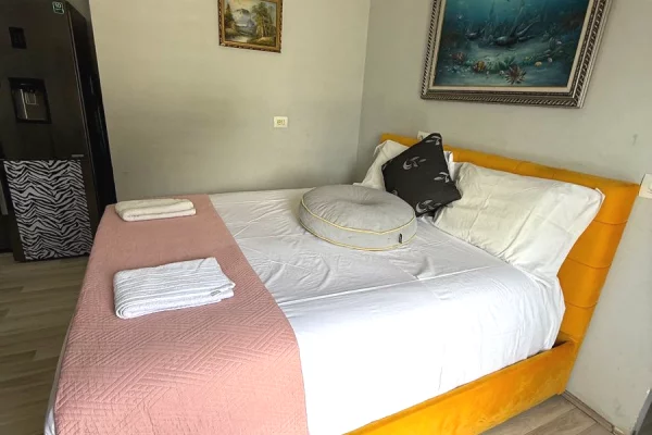 Shtepi me qera Garsoniere ne Tirane - 50,000 Leke