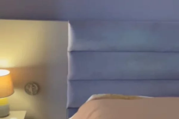 Shtepi me qera Apartament ne Tirane, 1+1, Mobilimi E mobiluar, Pagesa 500  Euro.