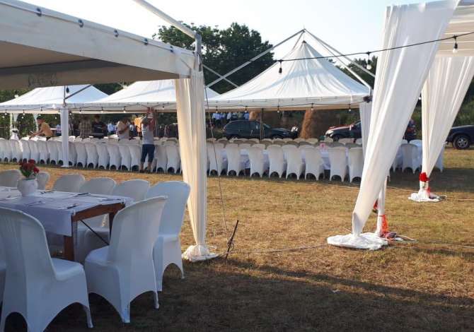 Professional Services  a Tirana - 50 Euro