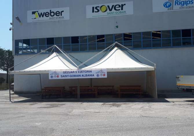 Professional Services  a Tirana - 50 Euro