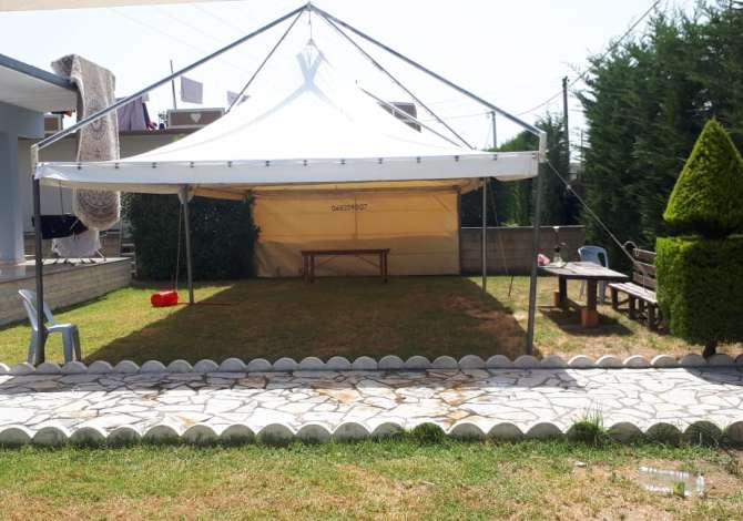 Professional Services a Tirana - 50 Euro