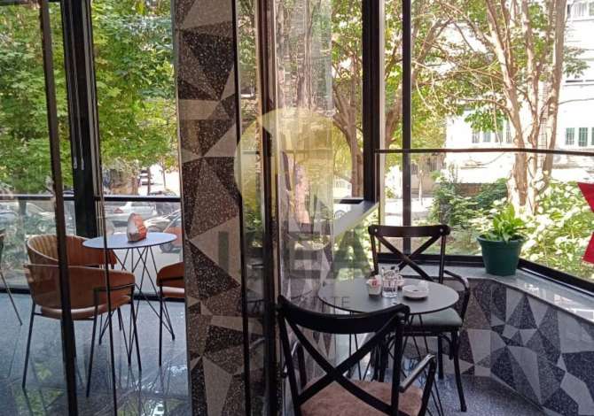 Ambient biznesi me qera 2+1 ne Tirane - 1,000 Euro