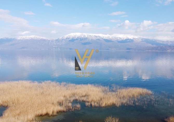 Truall ose Toke  ne Pogradec - 225,000 Euro