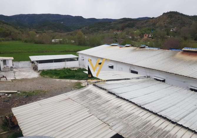 Ambiente Commerciale in Affitto 4+1 a Tirana - 1,500 Euro