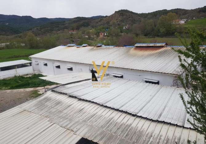 Ambient biznesi me qera 4+1 ne Tirane - 1,500 Euro