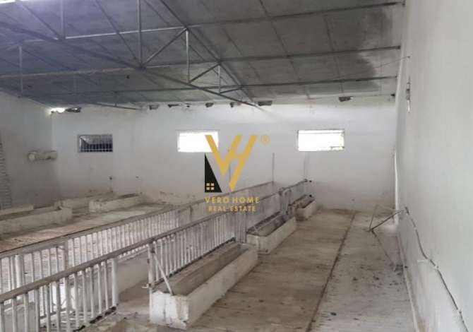 Ambiente Commerciale in Affitto 4+1 a Tirana - 1,500 Euro