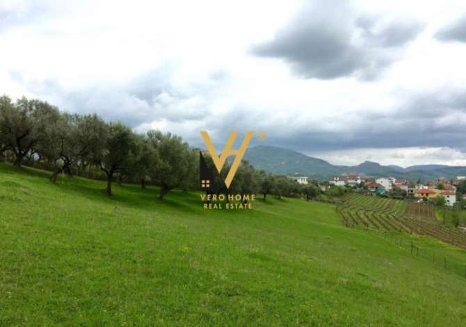 Terreno in vendita  a Tirana - 600,000 Euro