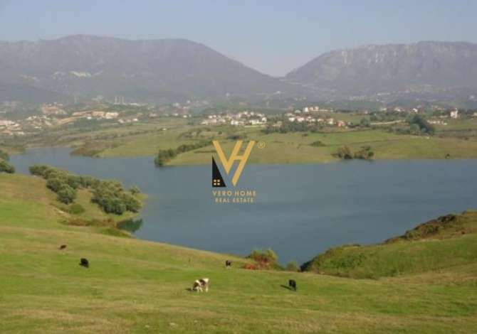 Truall ose Toke ne Tirane - 50,000 Euro