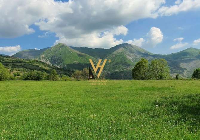 Truall ose Toke  ne Tirane - 400,000 Euro