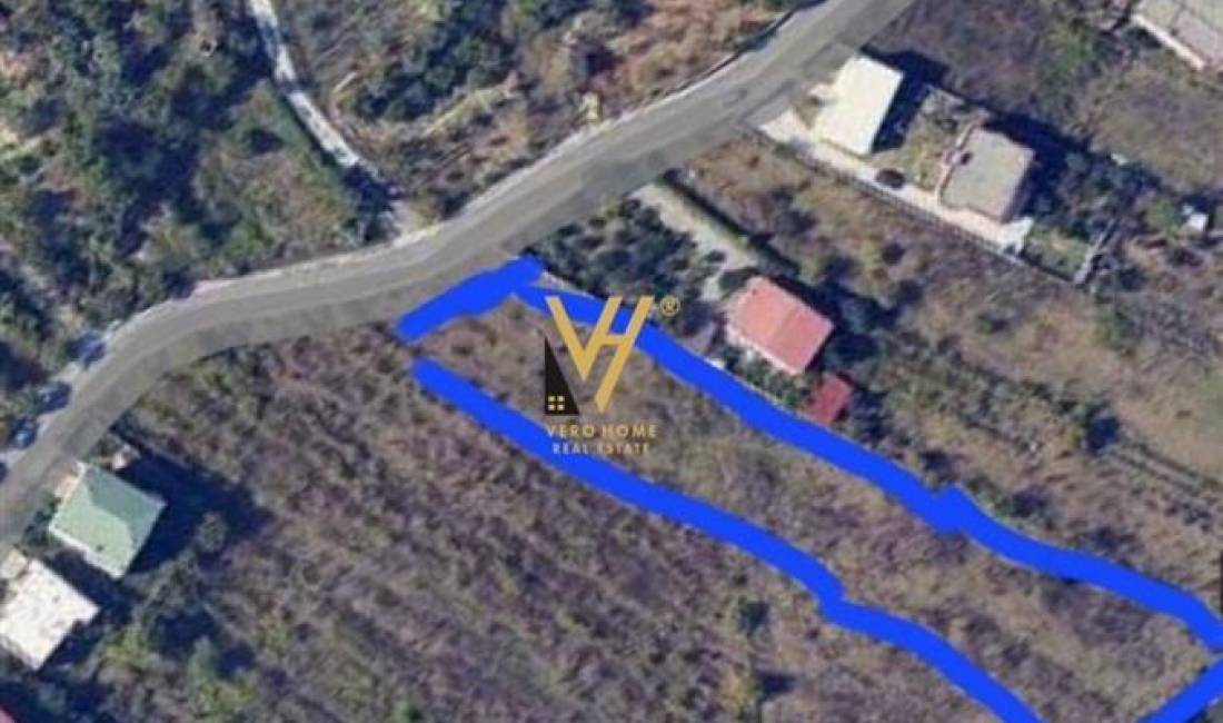 SHITET TOKE 2.000 M2 NE KASHAR 160.000 EURO