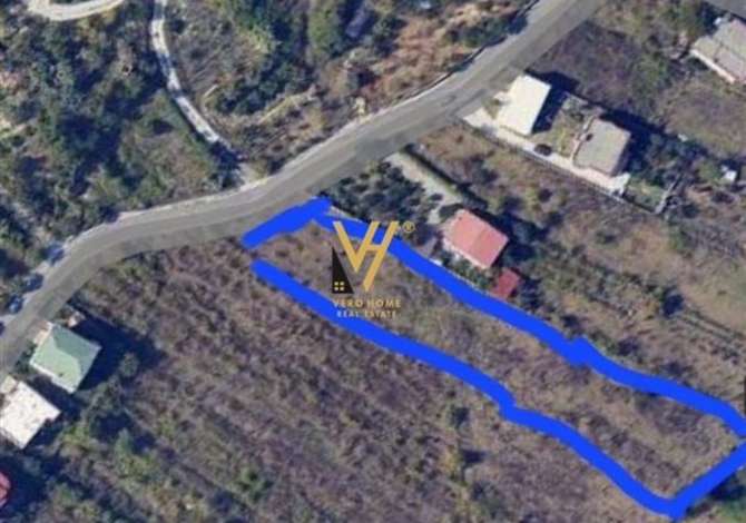 Truall ose Toke  ne Tirane - 160,000 Euro