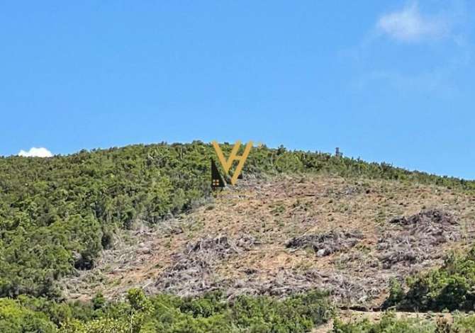 Terreno in vendita  a Kavaja - 200,000 Euro