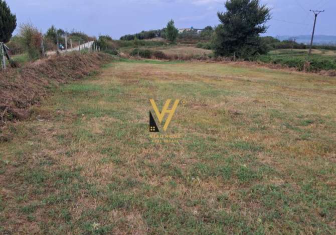 Truall ose Toke ne Tirane - 58,000 Euro