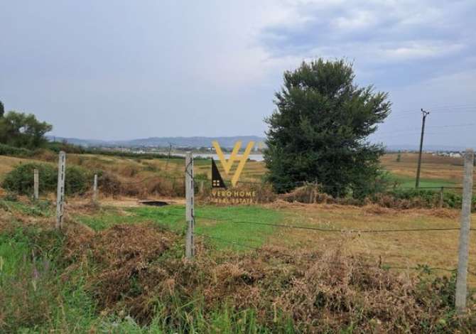 Truall ose Toke ne Tirane - 58,000 Euro