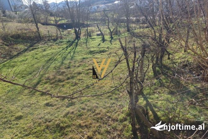 Truall ose Toke  ne Tirane - 60,000 Euro