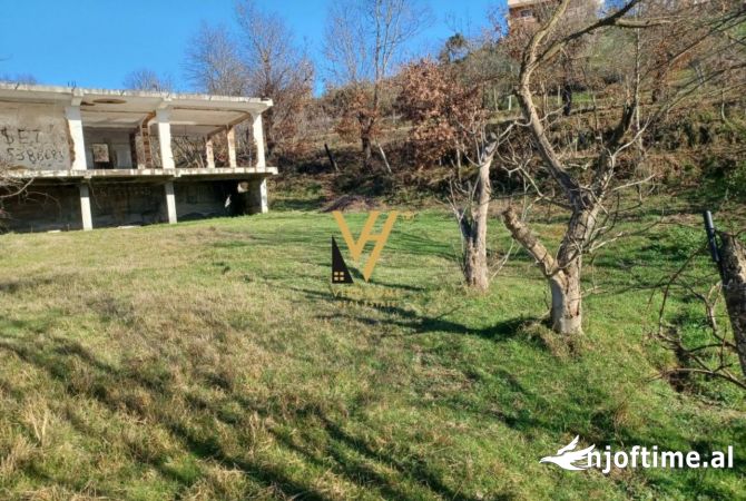 Truall ose Toke  ne Tirane - 60,000 Euro