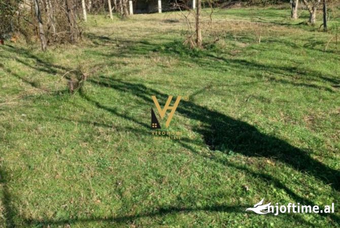SHITET TOKE ARE  3000 M2 NE VORE 60.000 EURO