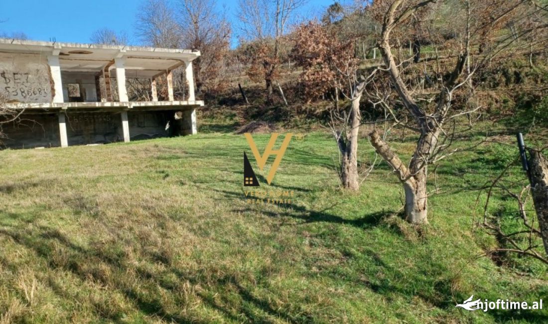 SHITET TOKE ARE  3000 M2 NE VORE 60.000 EURO