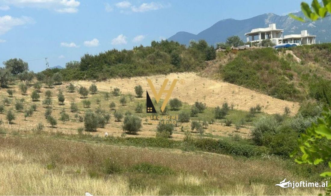 SHITET TOKE 5000 M2 NE MULLET 350.000 EURO