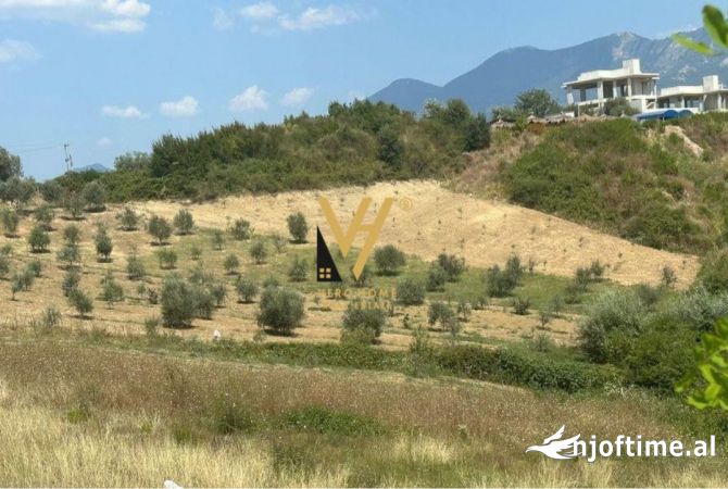 Truall ose Toke  ne Tirane - 350,000 Euro