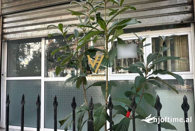Ambient biznesi me qera 1+1 ne Tirane - 300 Euro
