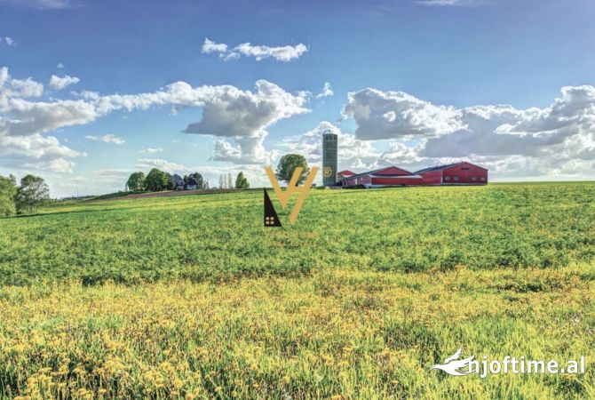 Truall ose Toke  ne Tirane - 1,750,000 Euro