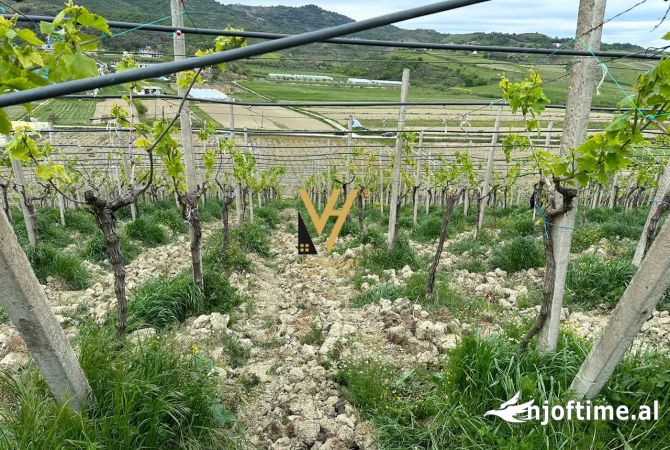 Terreno in vendita  a Kavaja - 103,000 Euro