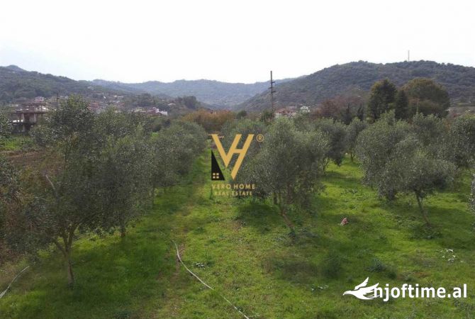 Truall ose Toke  ne Tirane - 95,000 Euro