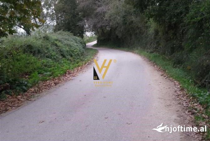 Truall ose Toke  ne Tirane - 490,000 Euro