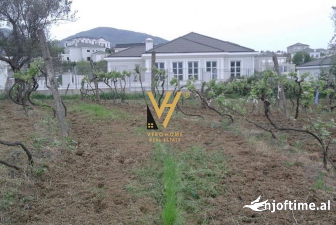 Truall ose Toke  ne Tirane - 600,000 Euro