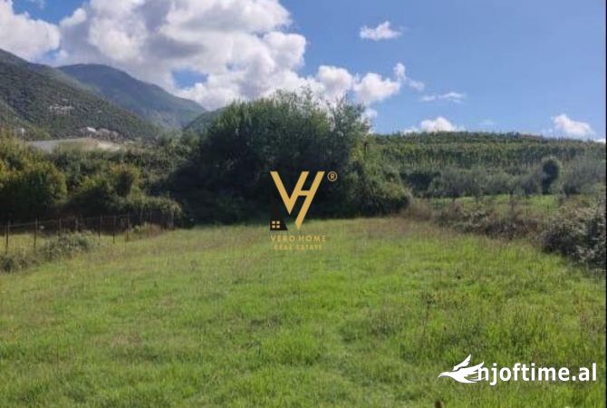 Truall ose Toke  ne Tirane - 196,000 Euro