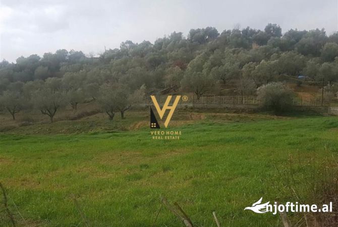 Truall ose Toke  ne Tirane - 160,000 Euro