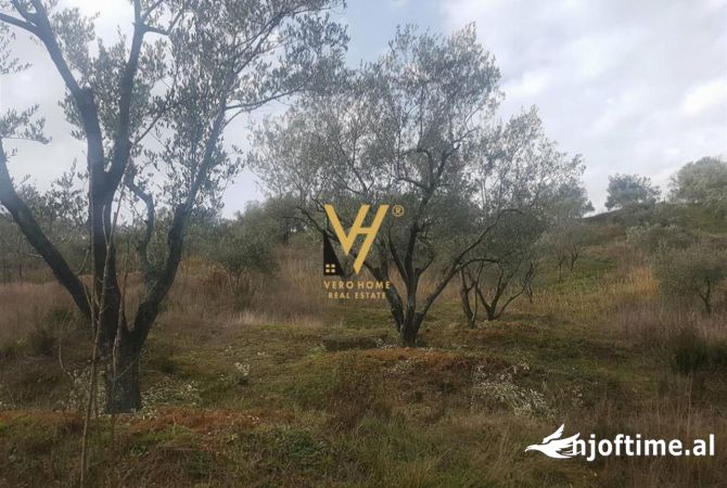 Truall ose Toke  ne Tirane - 160,000 Euro