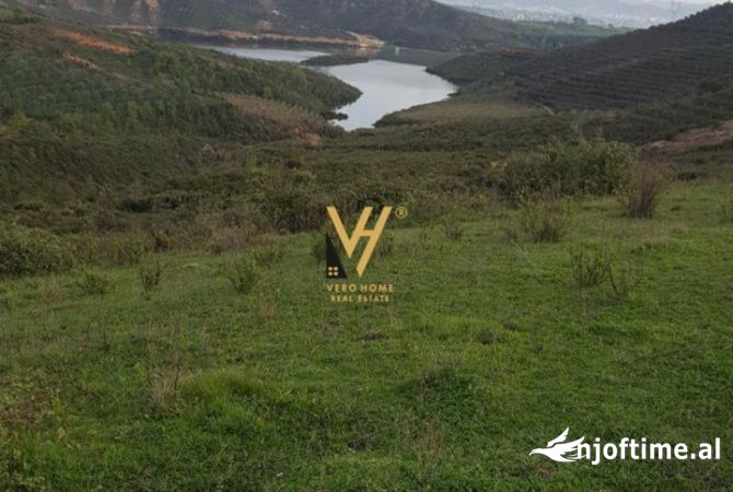 Truall ose Toke ne Tirane - 555,000 Euro