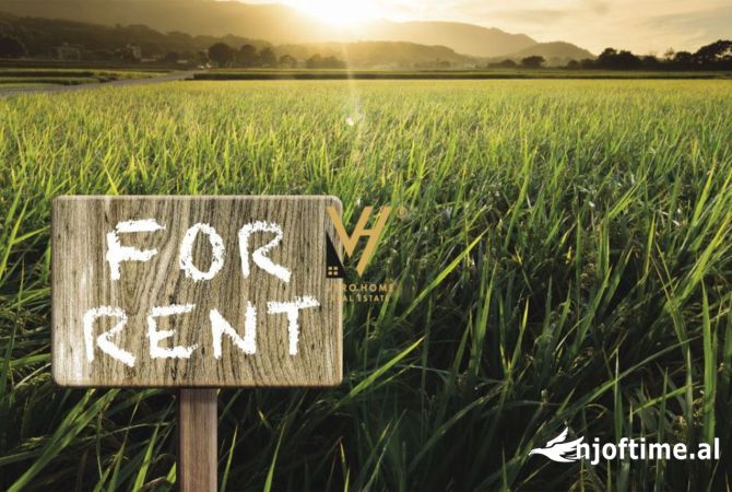 Ambient biznesi me qera 4+1 ne Tirane - 200,000 Leke