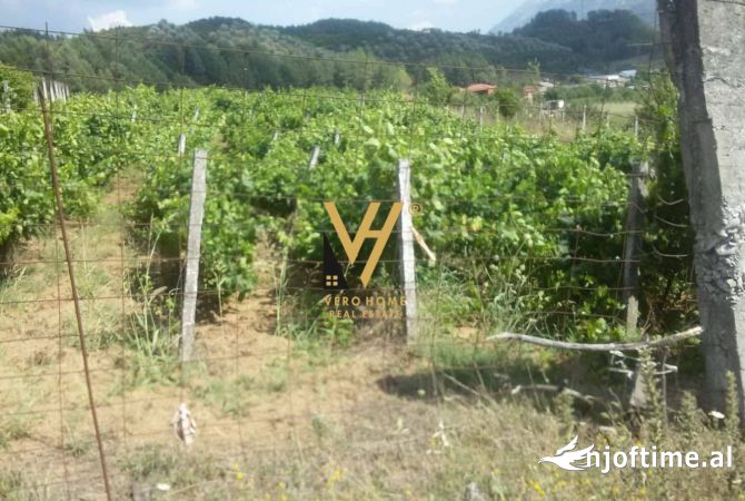 Truall ose Toke  ne Gjirokaster - 85,000 Euro