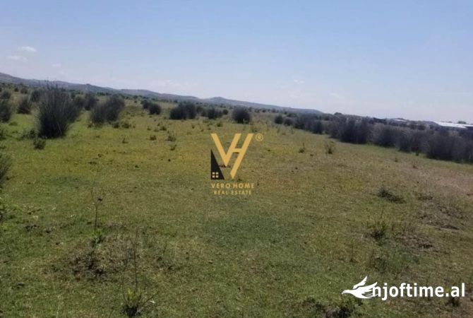 Truall ose Toke  ne Vlore - 26,000 Euro